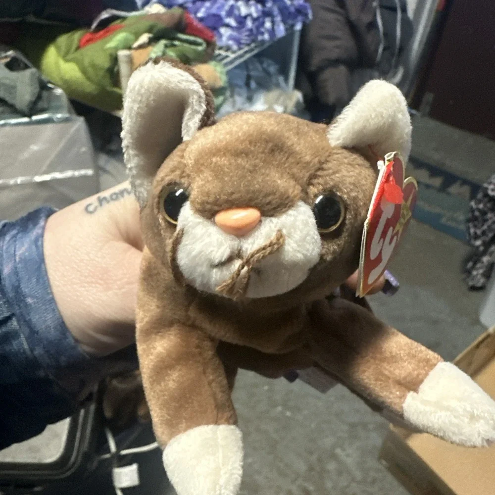 Ty Beanie Baby Pounce the Cat DOB August 28, 1997 MWMT‎ Free Shipping